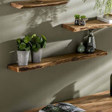 Acacia Wood Wall Shelf - Unique Tree Trunk Design for Industrial Interiors
