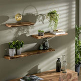 Acacia Wood Wall Shelf - Unique Tree Trunk Design for Industrial Interiors