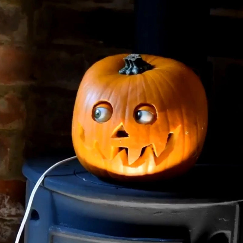 Creepy Halloween Pumpkin Decor - Scary Halloween Prop