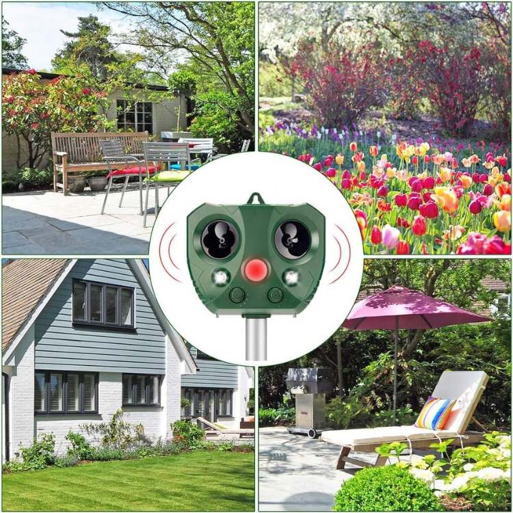 EcoGuard Ultrasonic Pest Repeller with Motion Sensor, Solar Powered
