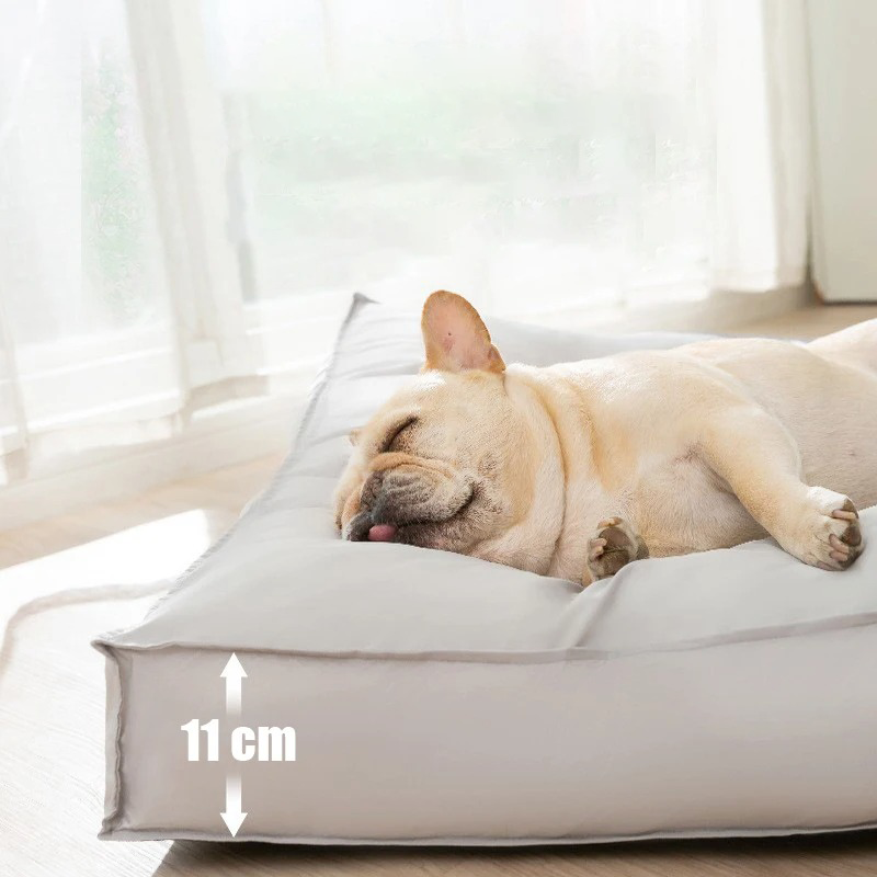 FlexiRest Orthopedic Dog Bed Cushion with Waterproof Cover