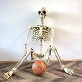 Life-Size Halloween Skeleton Decoration - Posable Figure for Spooky Displays