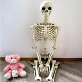 Life-Size Halloween Skeleton Decoration - Posable Figure for Spooky Displays