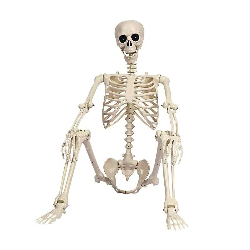 Life-Size Halloween Skeleton Decoration - Posable Figure for Spooky Displays