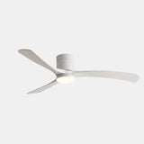 Modern Ceiling Fan with LED Light, Remote & Quiet Operation