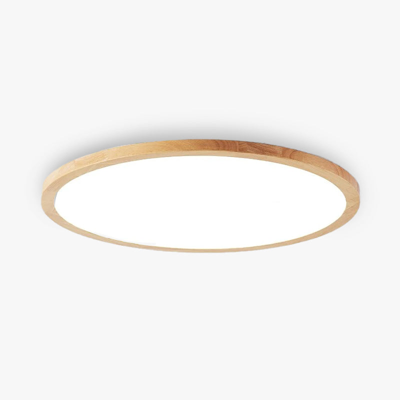 Modern Dimmable LED Ceiling Light with Adjustable Ambience