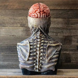 PhantomReaper - Ultra-Realistic Skeleton Halloween Costume