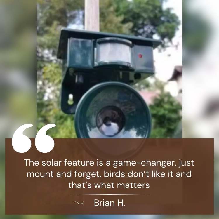Smart Ultrasonic Bird Repeller - Solar-Powered Pigeon Deterrent