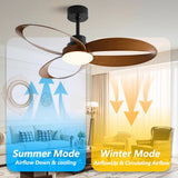 Stylish Modern Ceiling Fan with Lights and Wood Blades